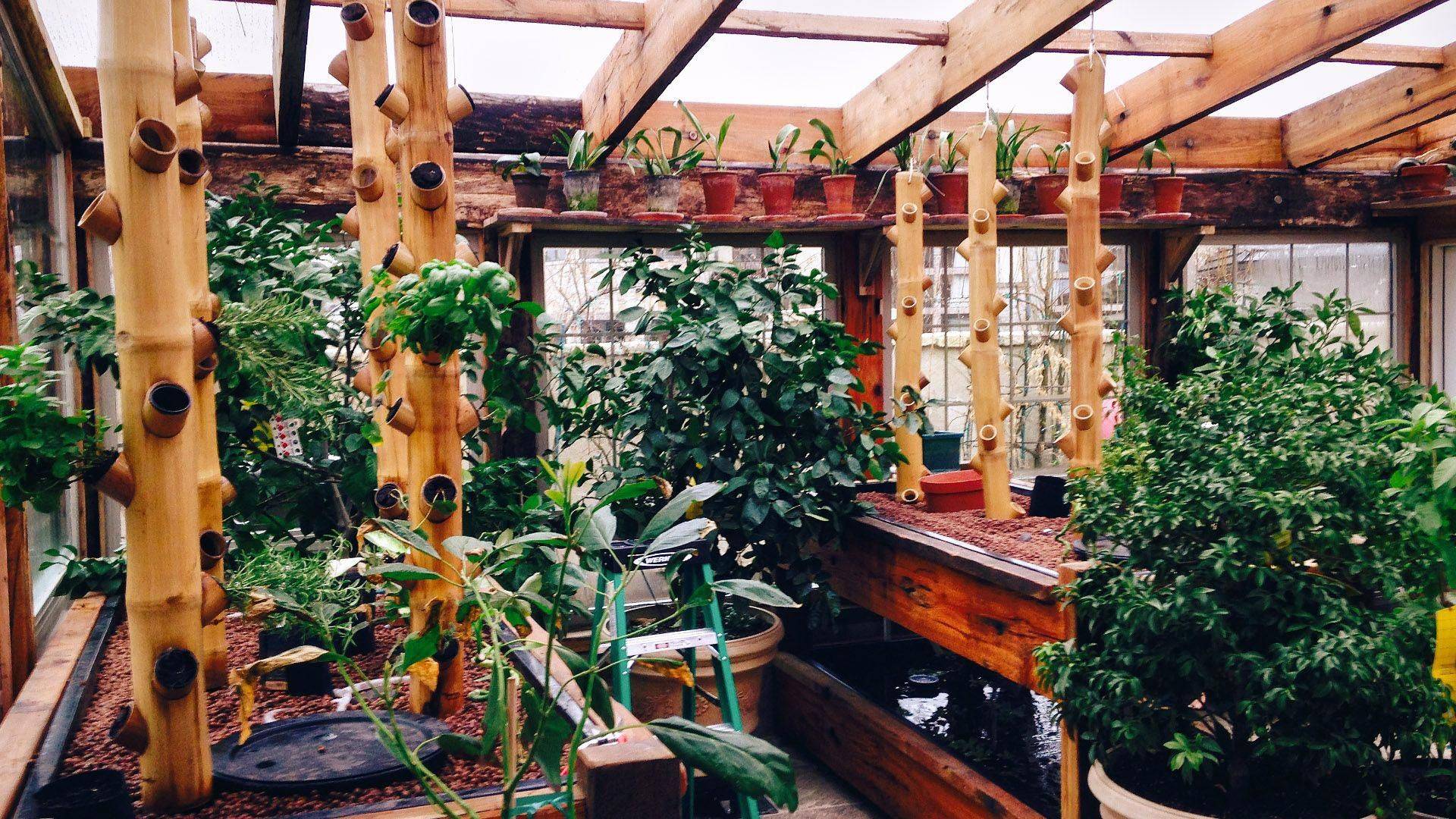 Indoor Vertical Garden