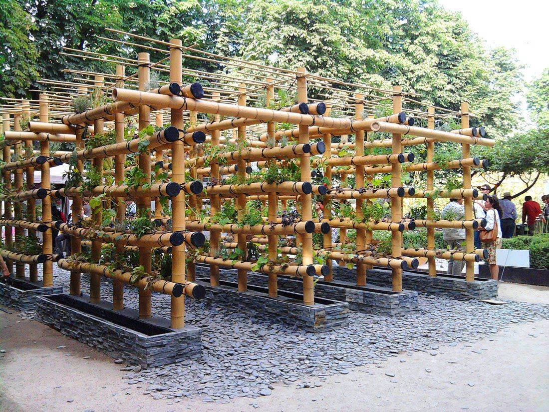 Indoor Vertical Garden