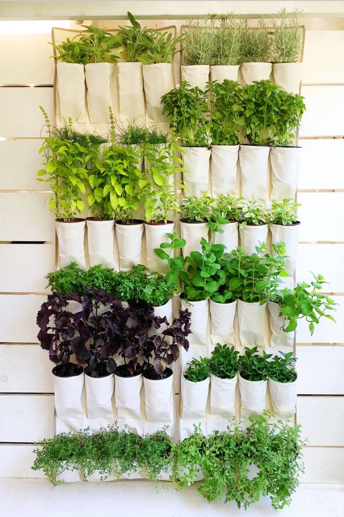 Bamboo Vertical Wall Planter