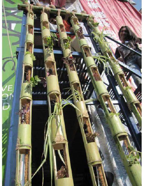 Carreiras Bamboo Planter