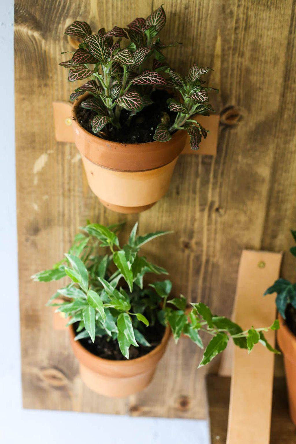 Cool Most Attractive Diy Hanging Garden Ideas
