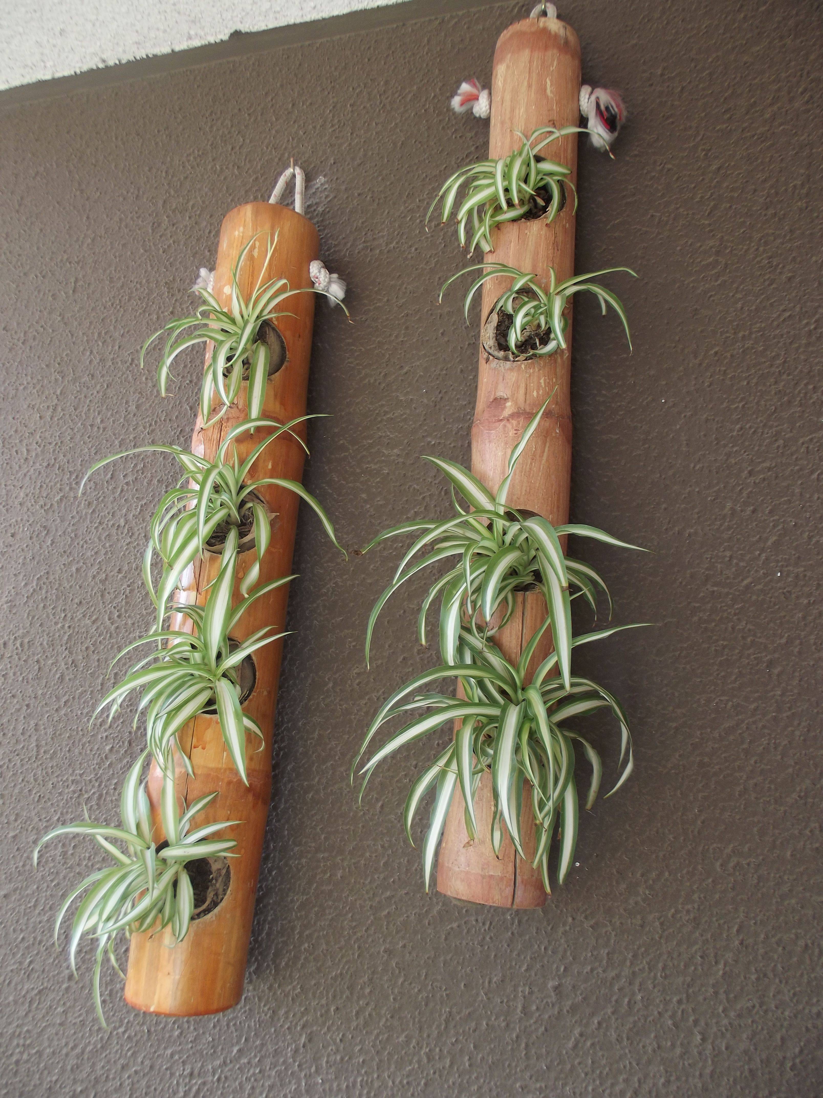 Vertical Bamboo Planters
