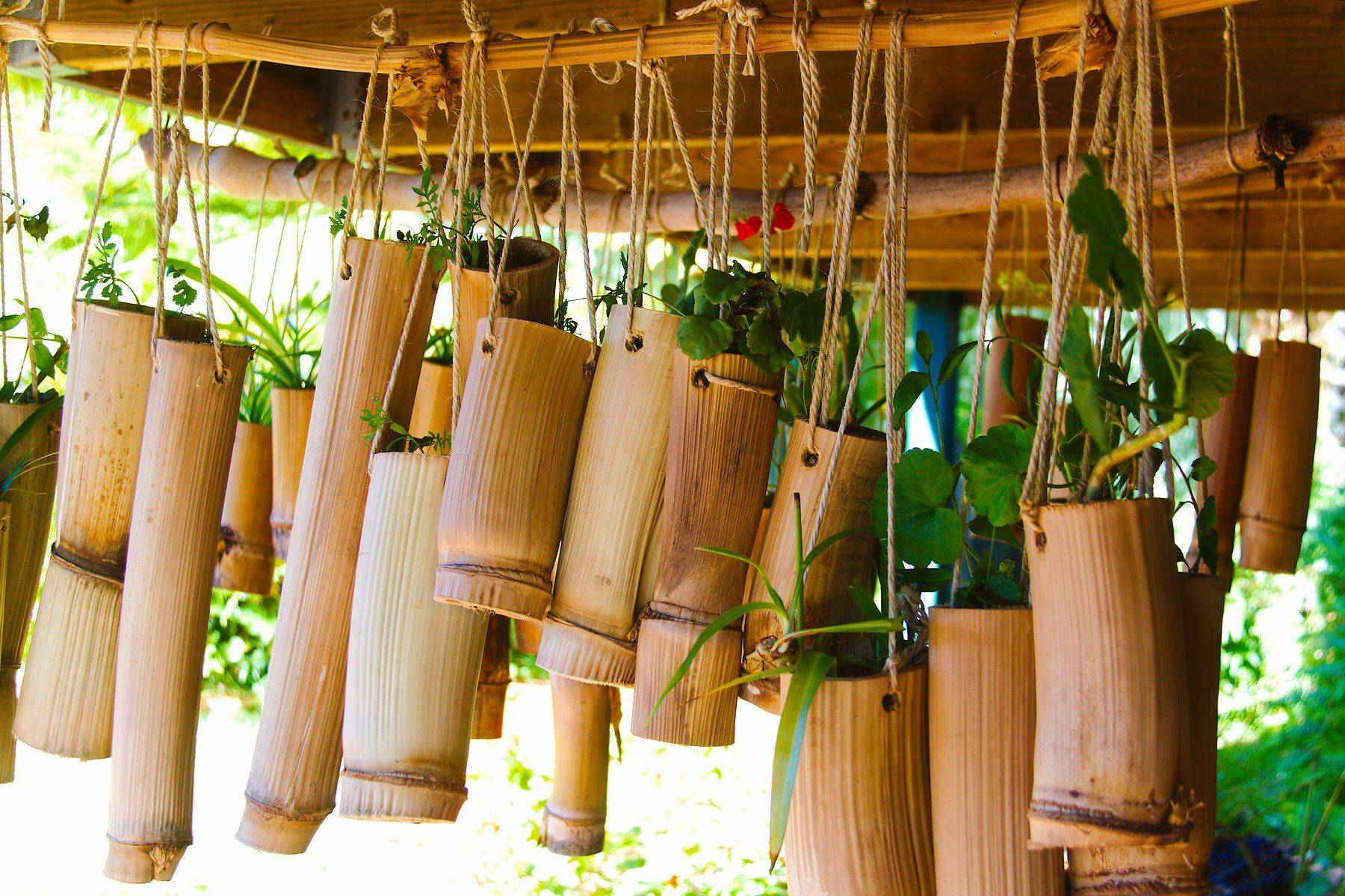 Vertical Garden Bamboo Planters Bamboo Planter