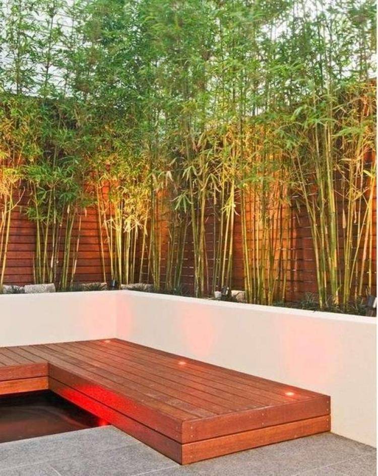 Exotic Bamboo Garden Design Ideas