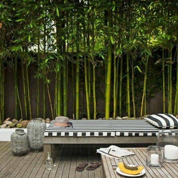 Exciting Bamboo Garden Ideas