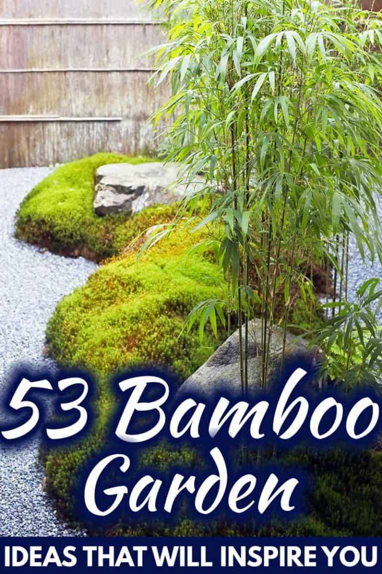 Bamboo Garden Ideas