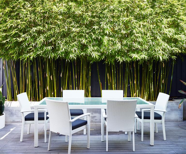 Bamboo Garden Ideas