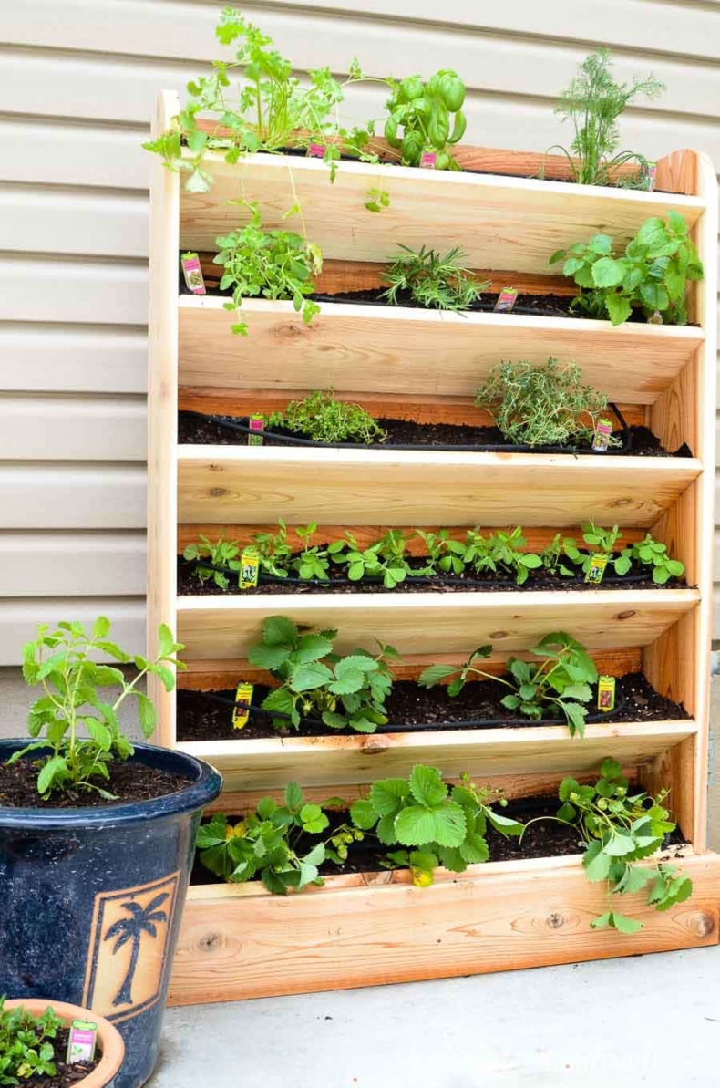 A Spacesaving Staircase Vertical Planter