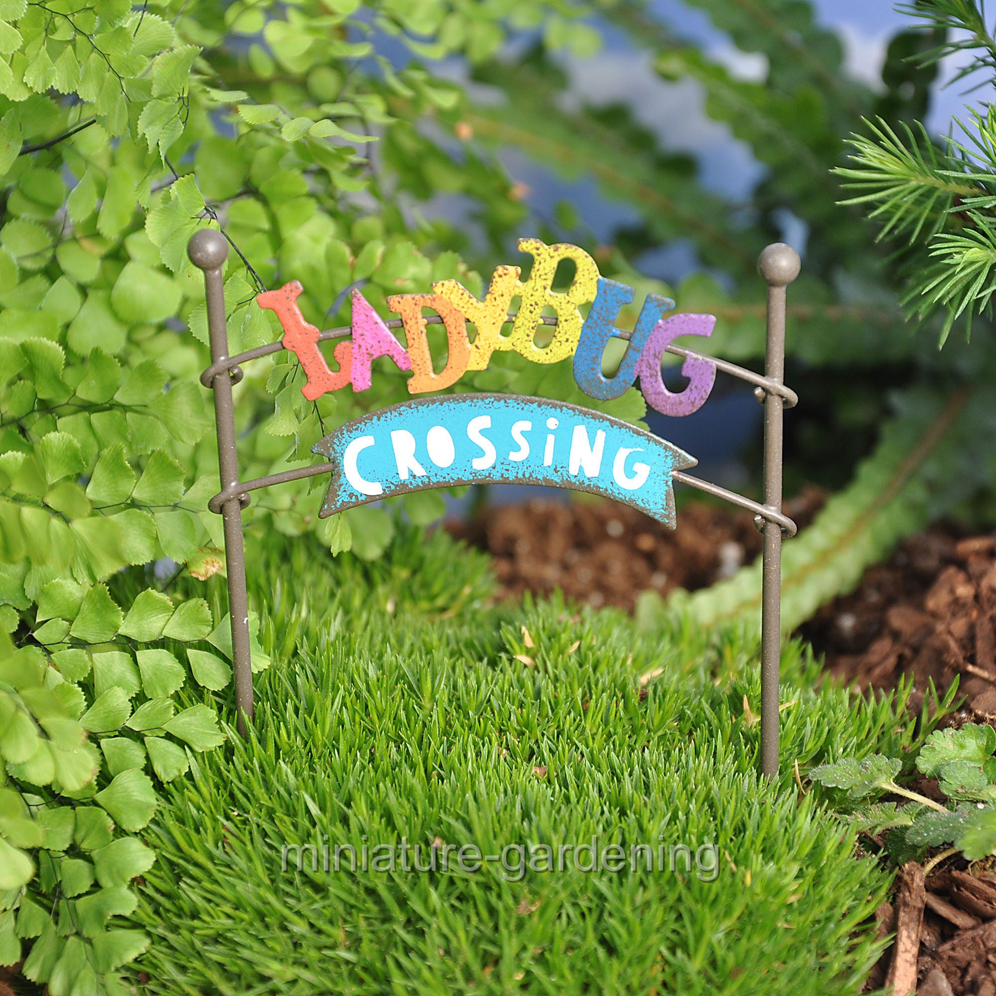 Fairy Gardens Ooak Handmade Etsy