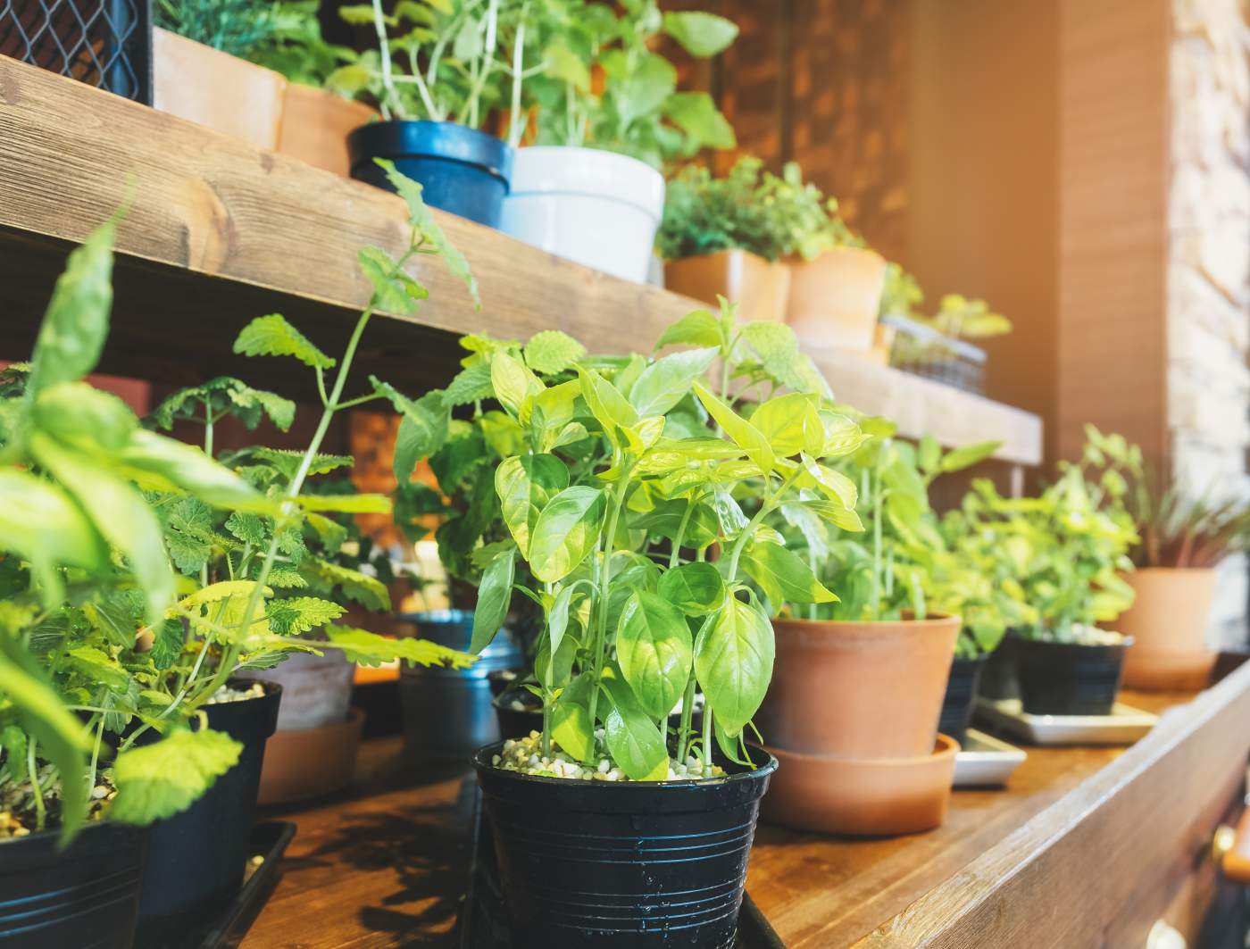 Vertical Vegetable Gardens