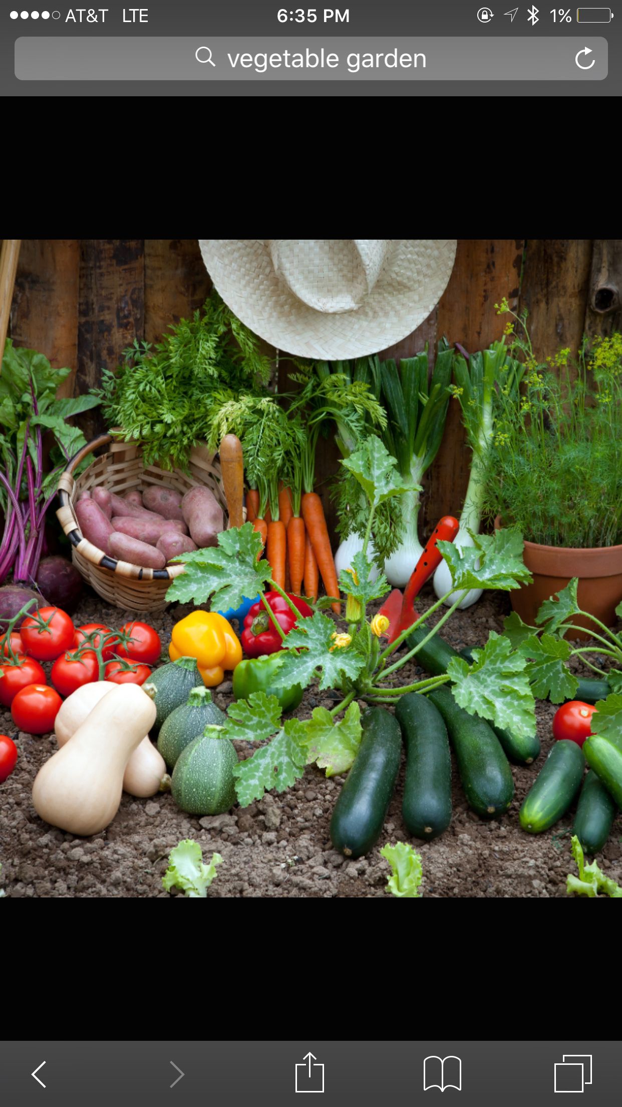 Small Vegetable Garden Tips