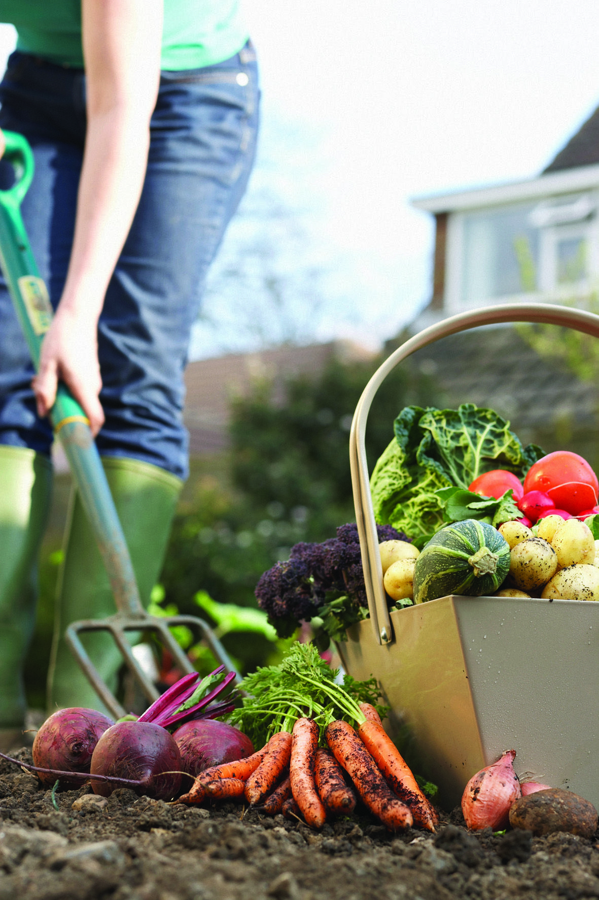 Your Own Indoor Vegetable Garden