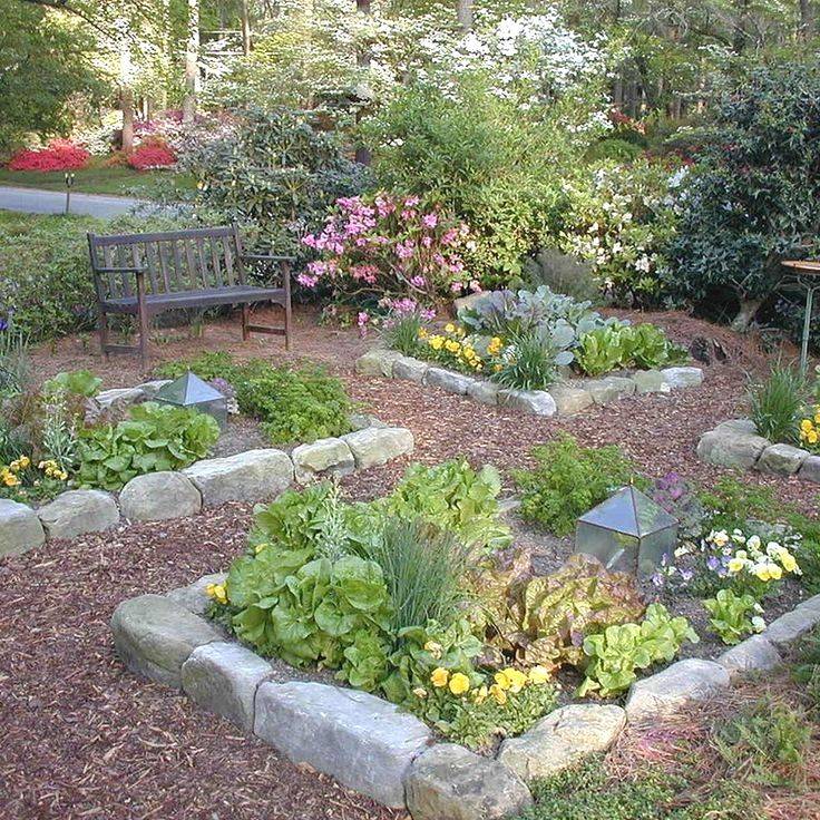 Great Vegetable Garden Ideas