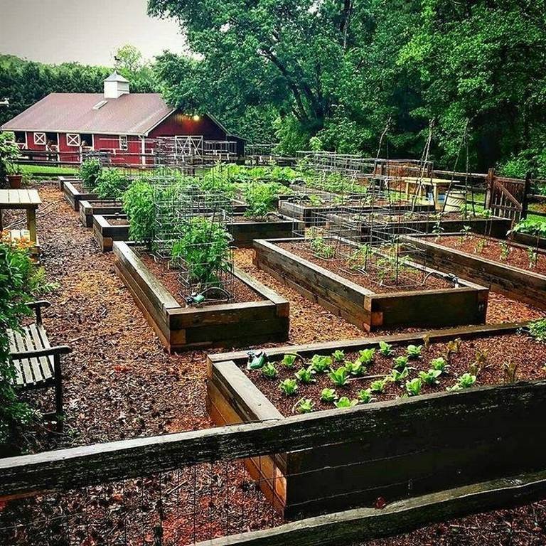 Beautifuly Colorful Vegetable Garden Design Ideas Page