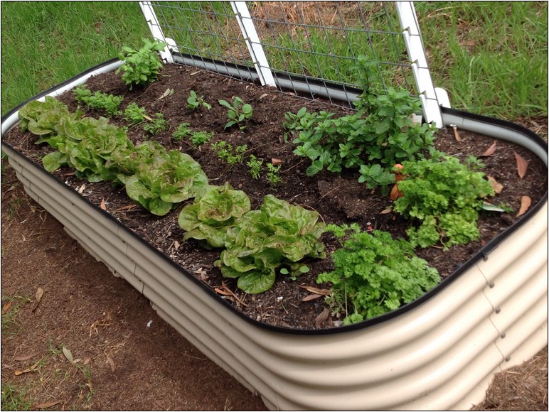 Backyard Landscaping Ideas