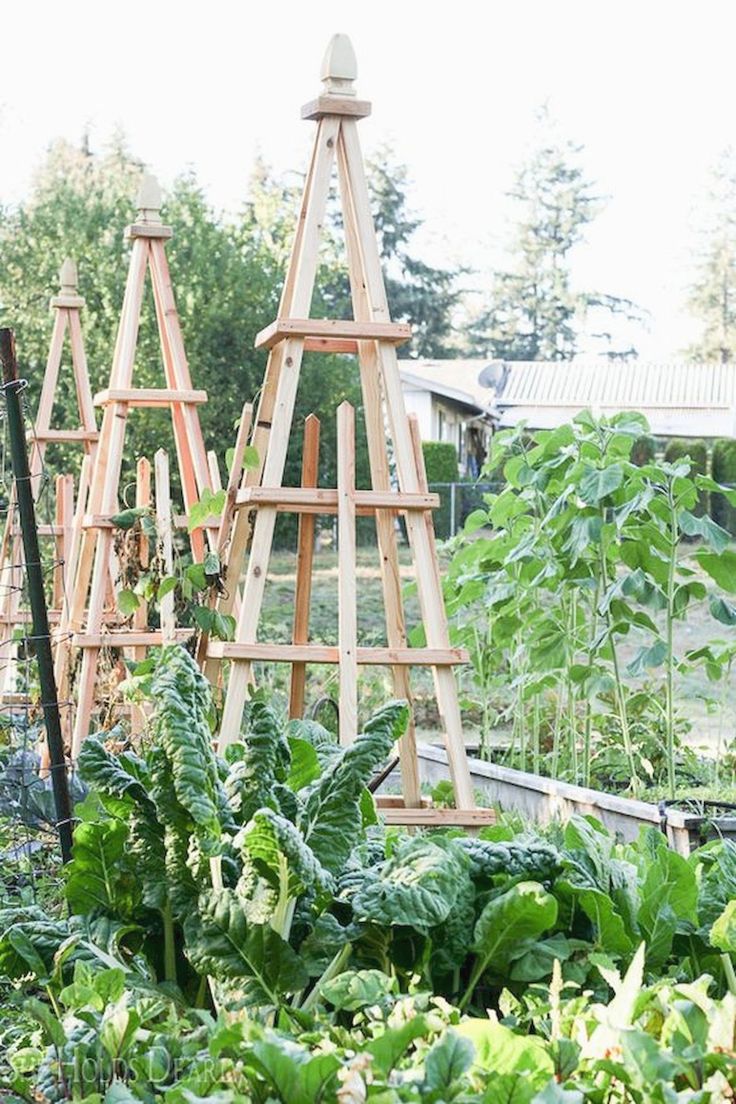 Your Own Raised Garden Bed