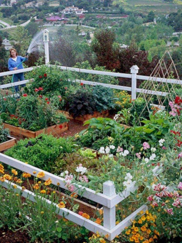 Easy Small Vegetable Garden Ideas