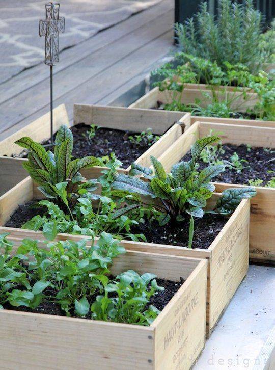 Raised Vegetable Garden Ideas