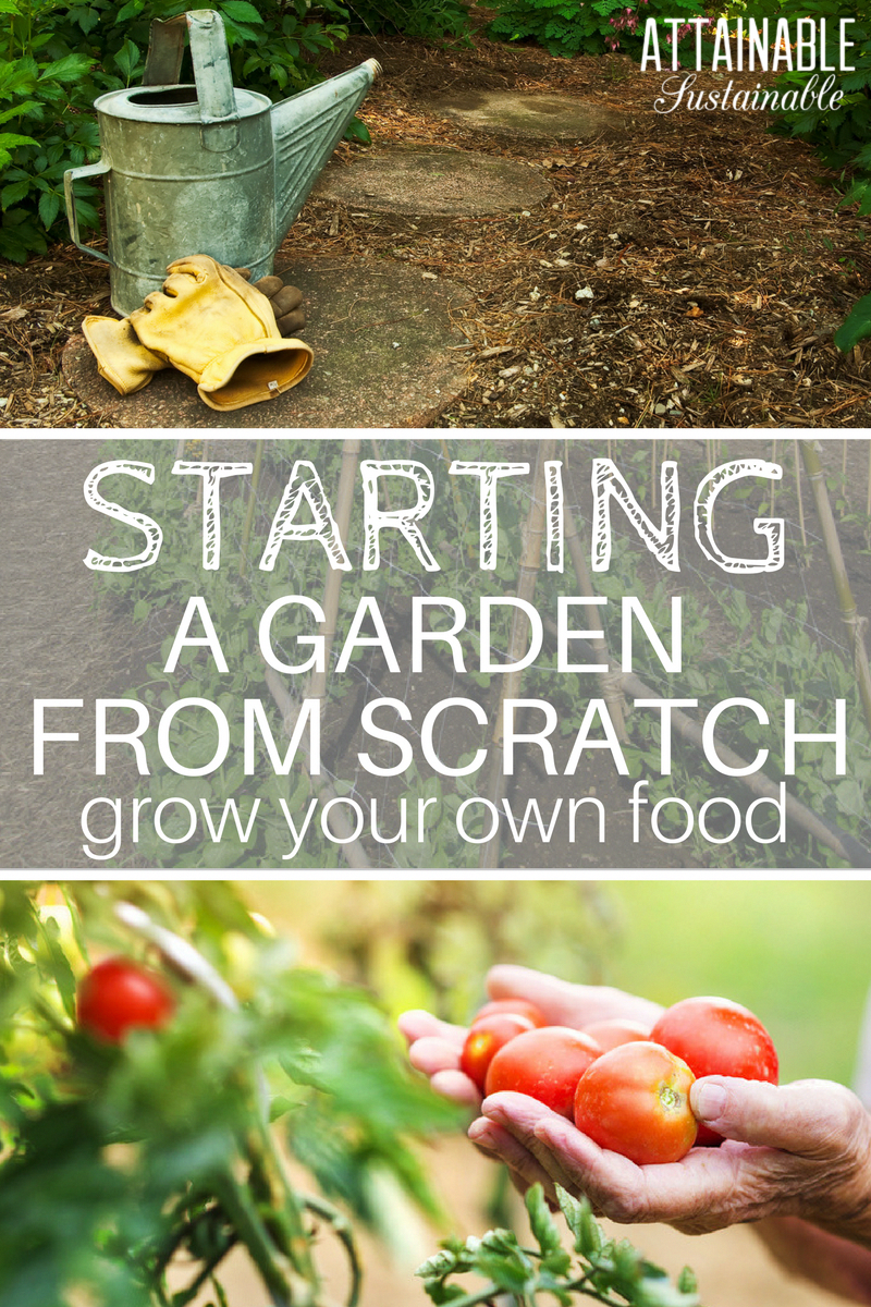 Your Own Kitchen Garden