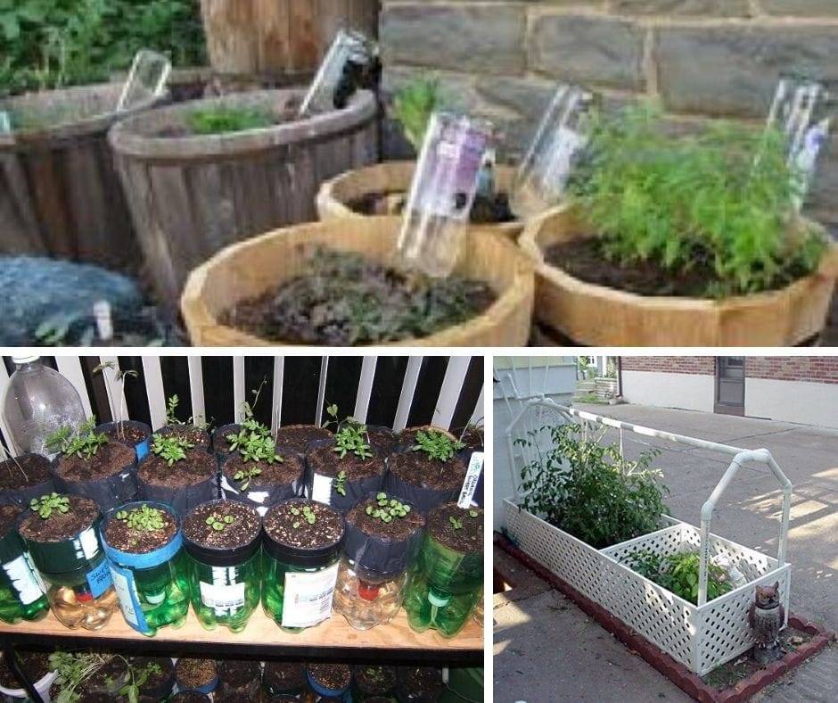 Clever Diy Selfwatering Container Garden Ideas