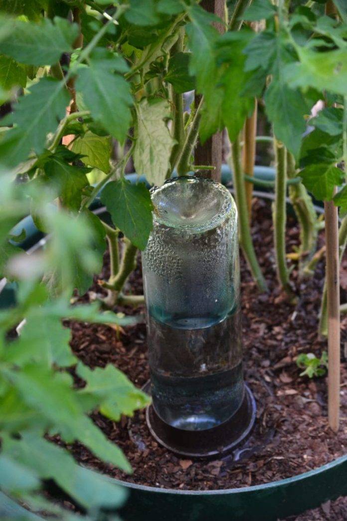 Smart Selfwatering Garden Ideas