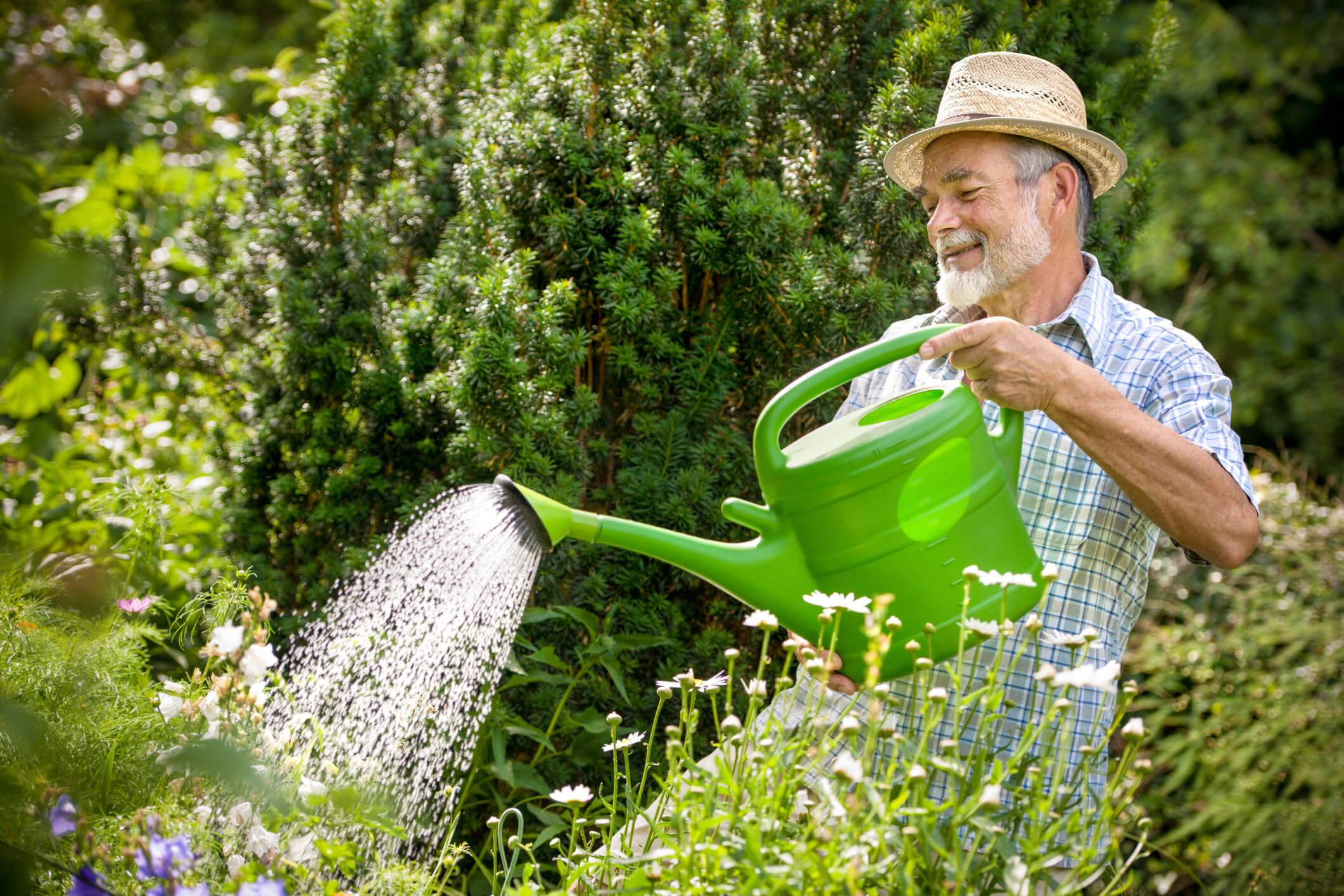 Stunning Watering Cans Decor Ideas