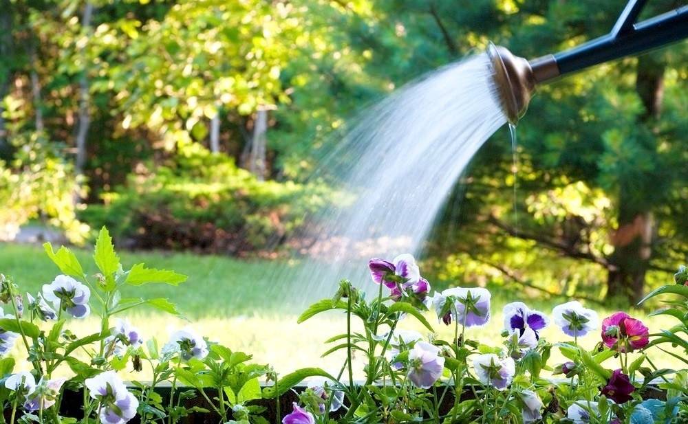 Your Garden Pennysaver