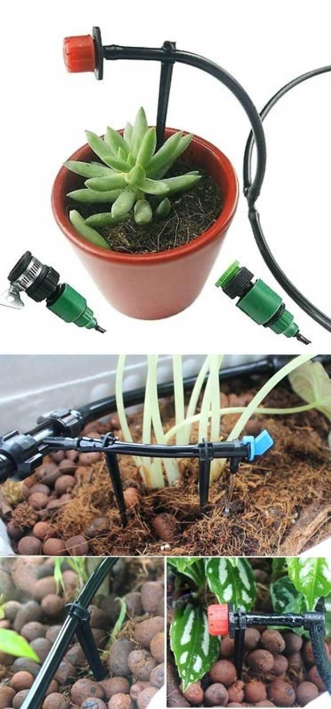 Cheap And Easy Diy Selfwatering Ideas