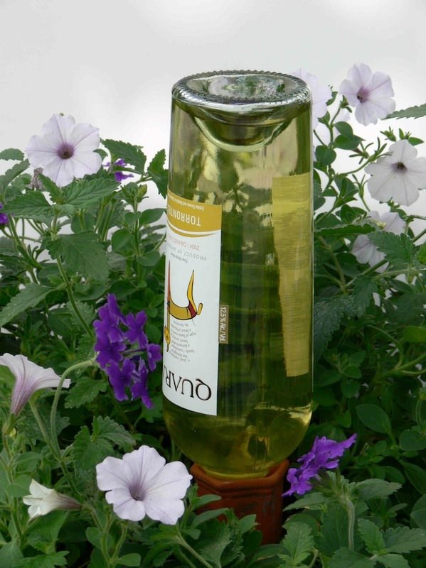 Clever Diy Selfwatering Container Garden Ideas