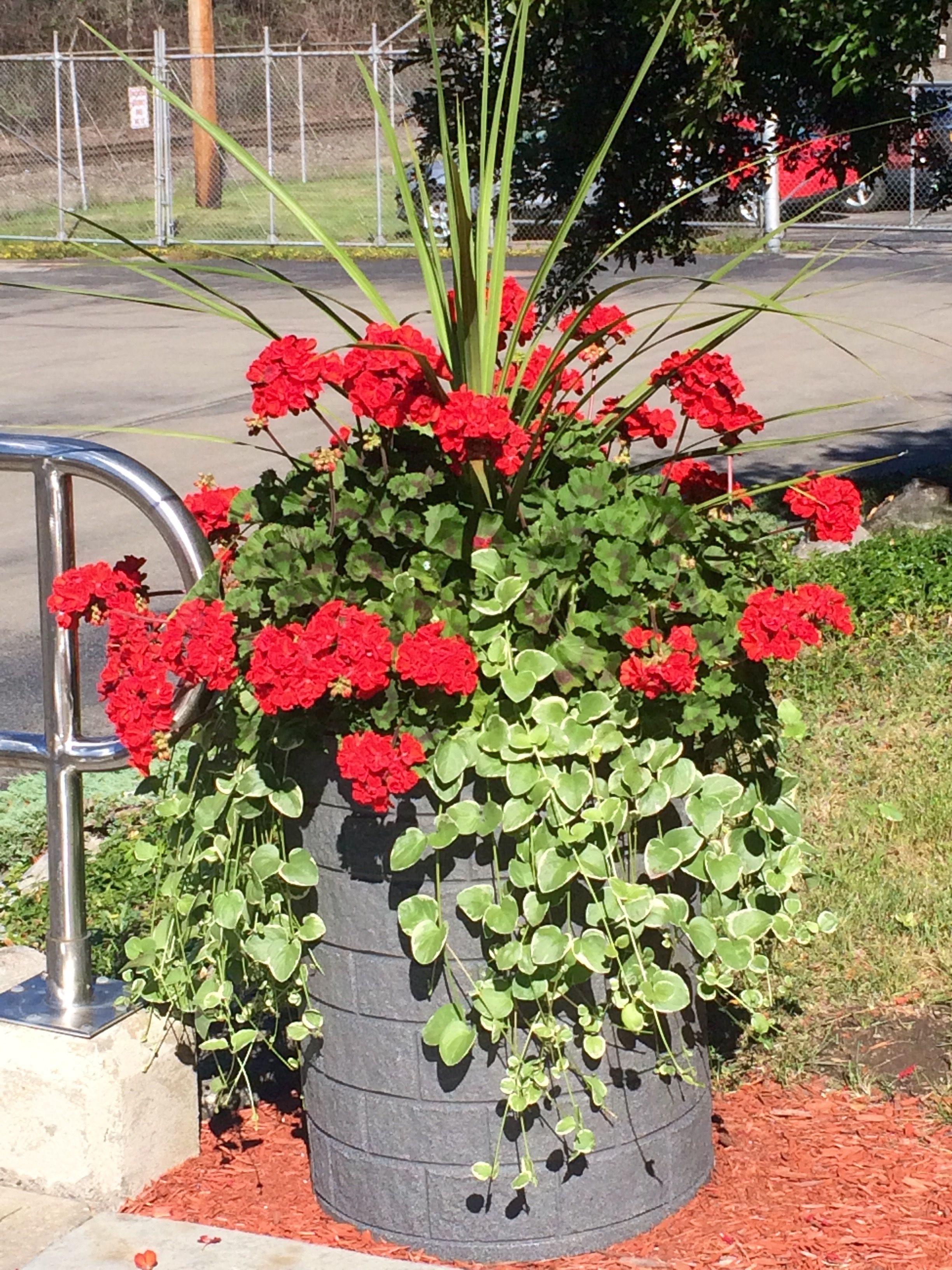 Clever Diy Selfwatering Container Garden Ideas