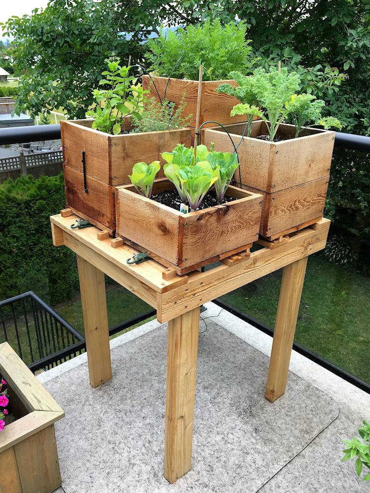 Best Diy Selfwatering Container Garden Ideas