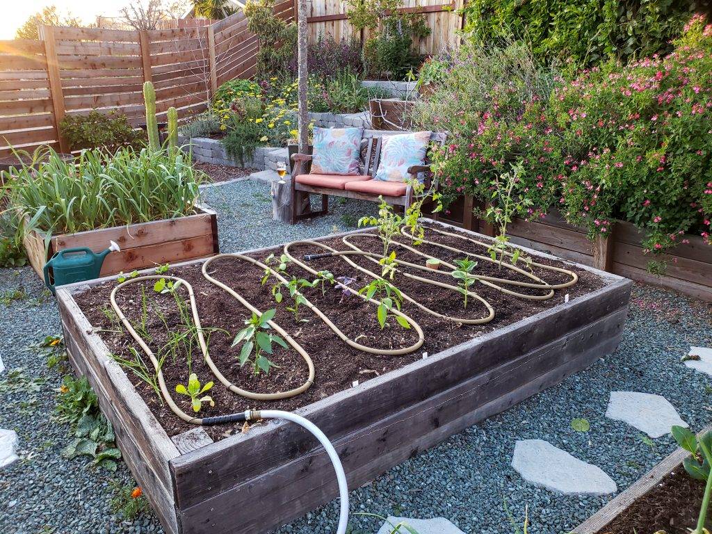 Best Diy Selfwatering Container Garden Ideas