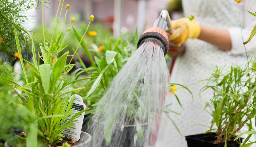 Cheap And Easy Diy Irrigation Systems