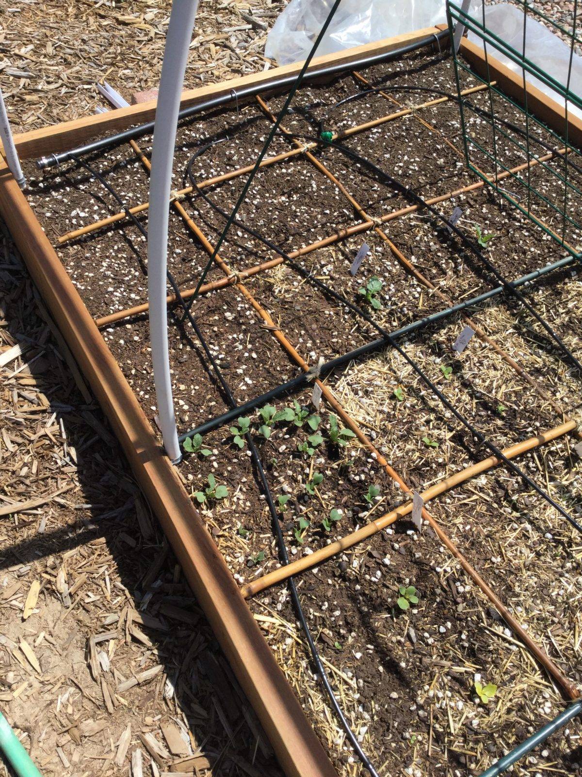 Diy Drip Irrigation