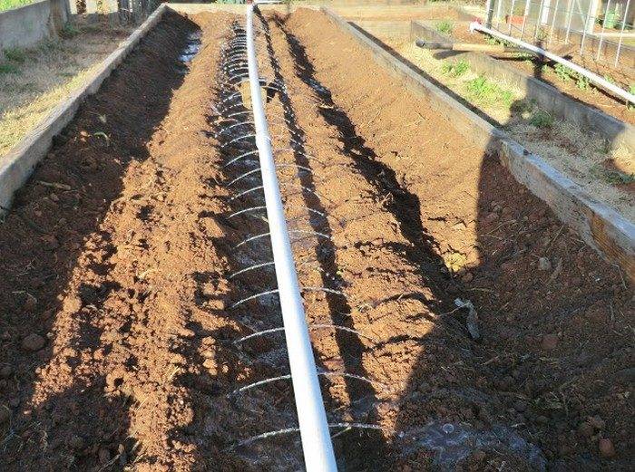 Backyard Garden Gardening Ideas