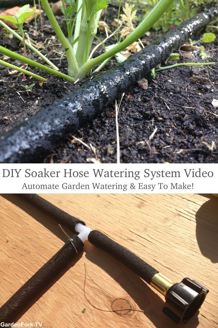 Gardening Modern Homemakers
