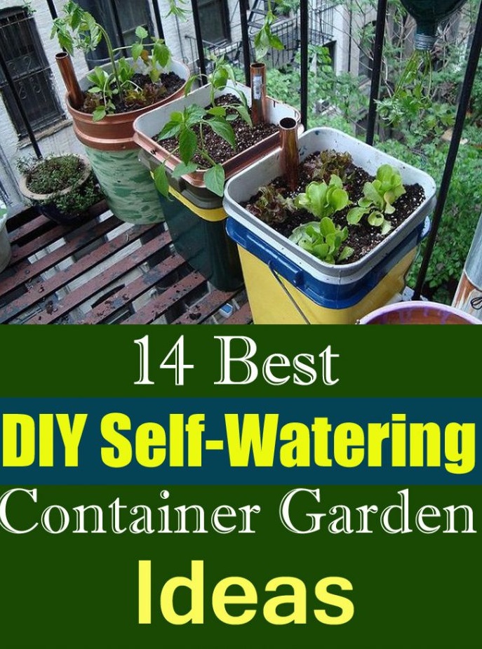 Smart Selfwatering Garden Ideas
