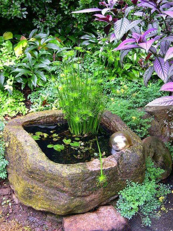 Surprising Indoor Water Garden Ideas