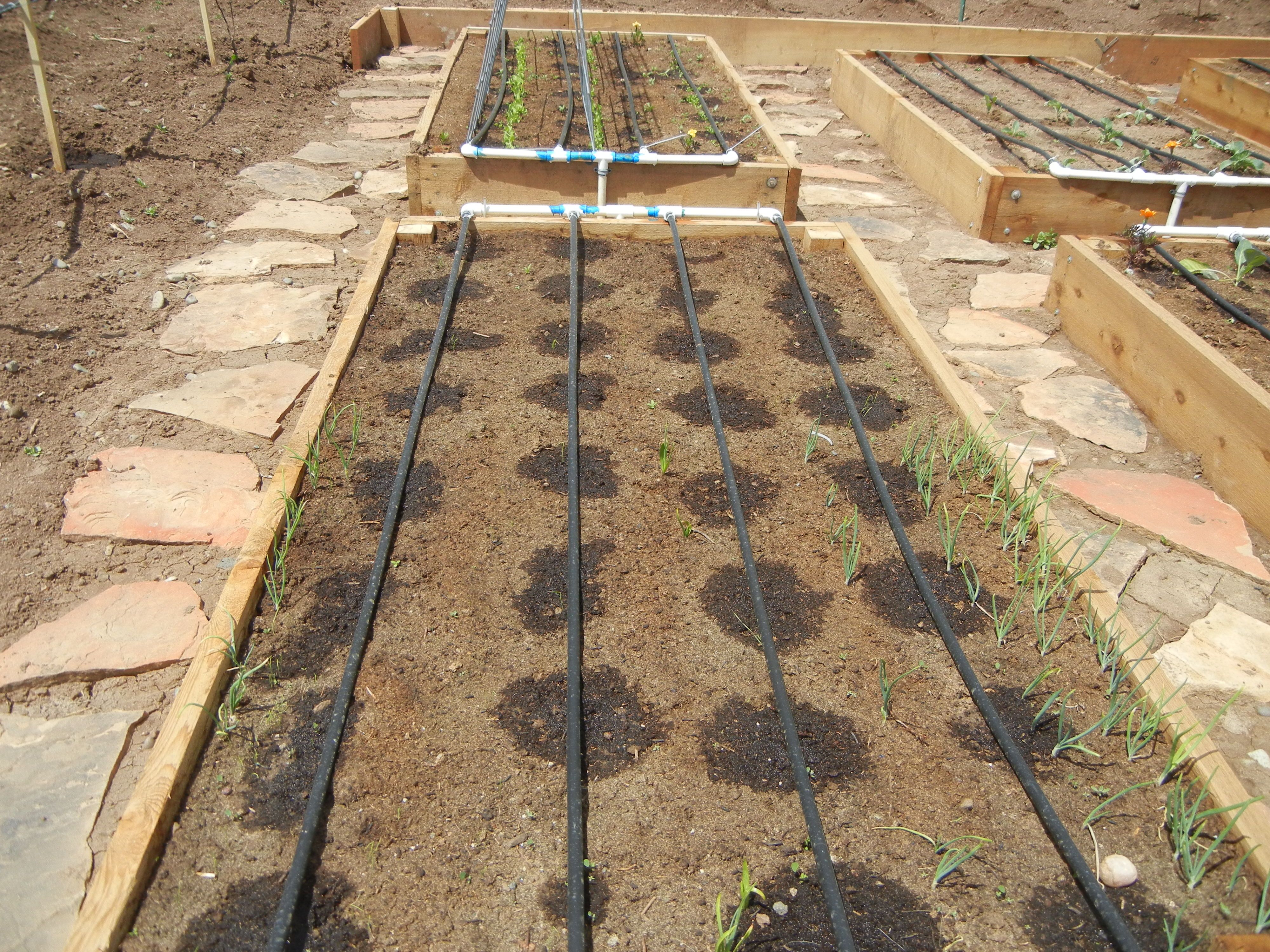 Gardening Modern Homemakers