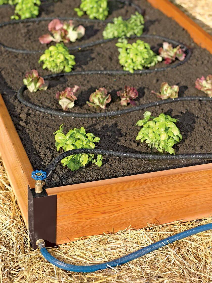 A Selfwatering Raised Bed