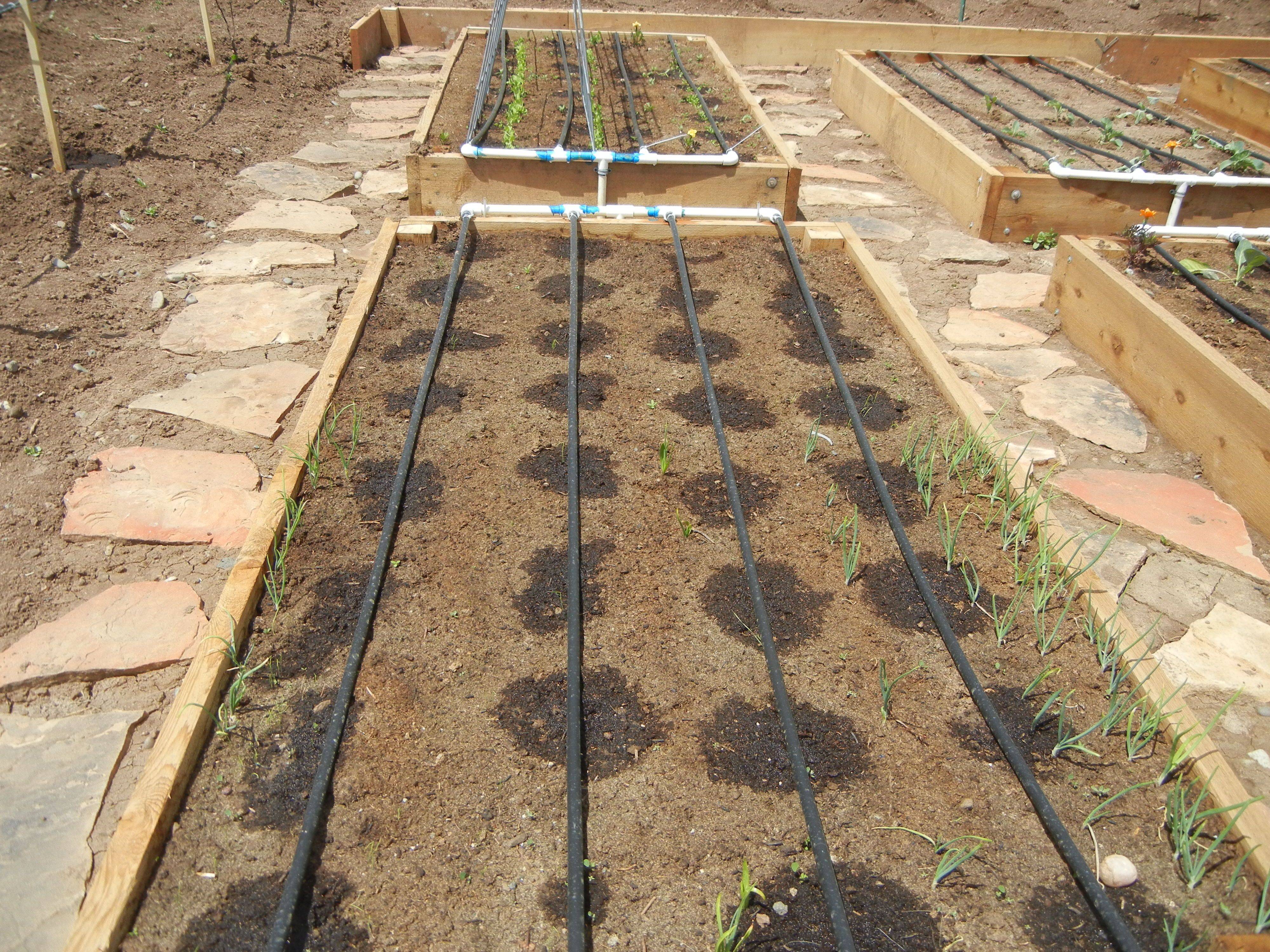 Our Raised Beds Watering System