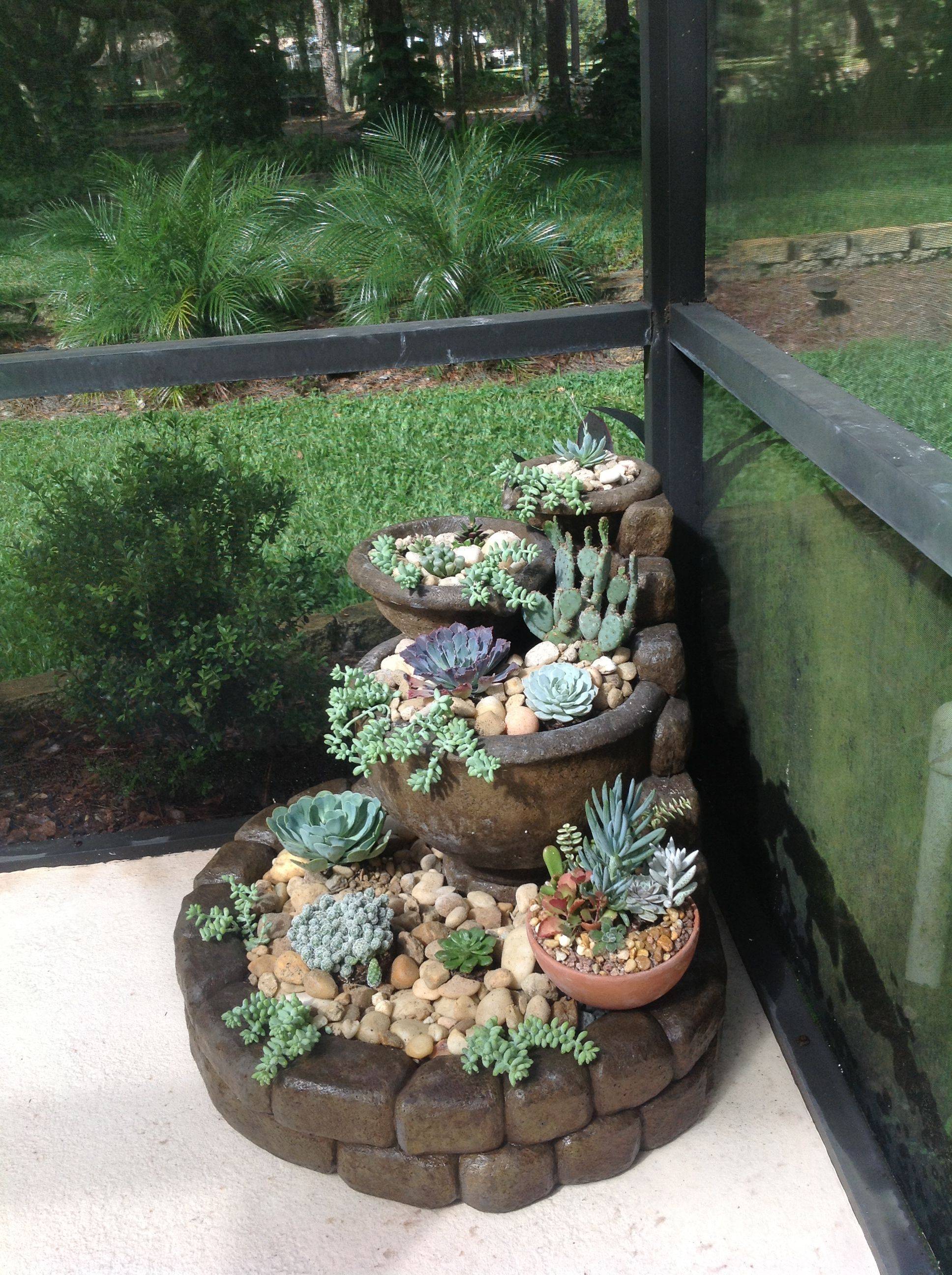 Mini Cactus Garden