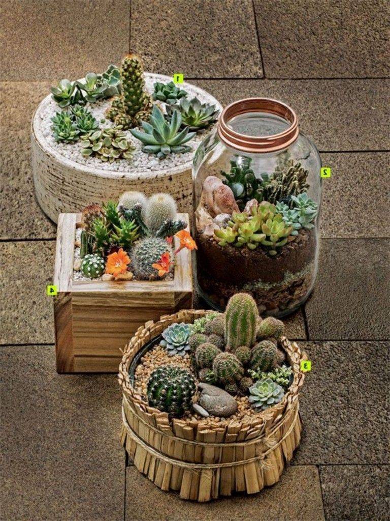 Cactus Dish Garden