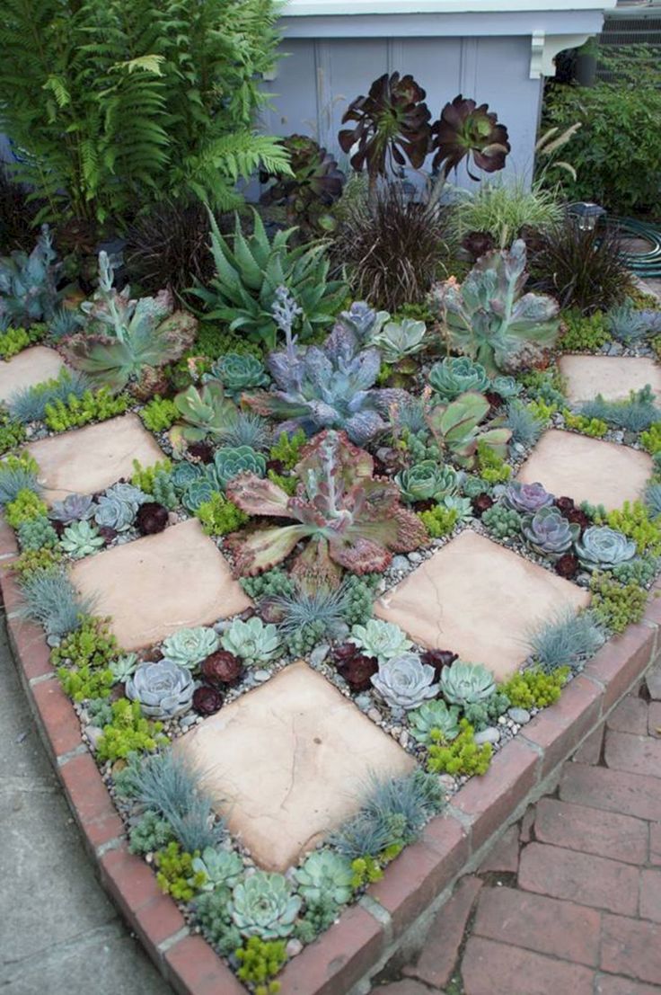 Succulent Garden Designs