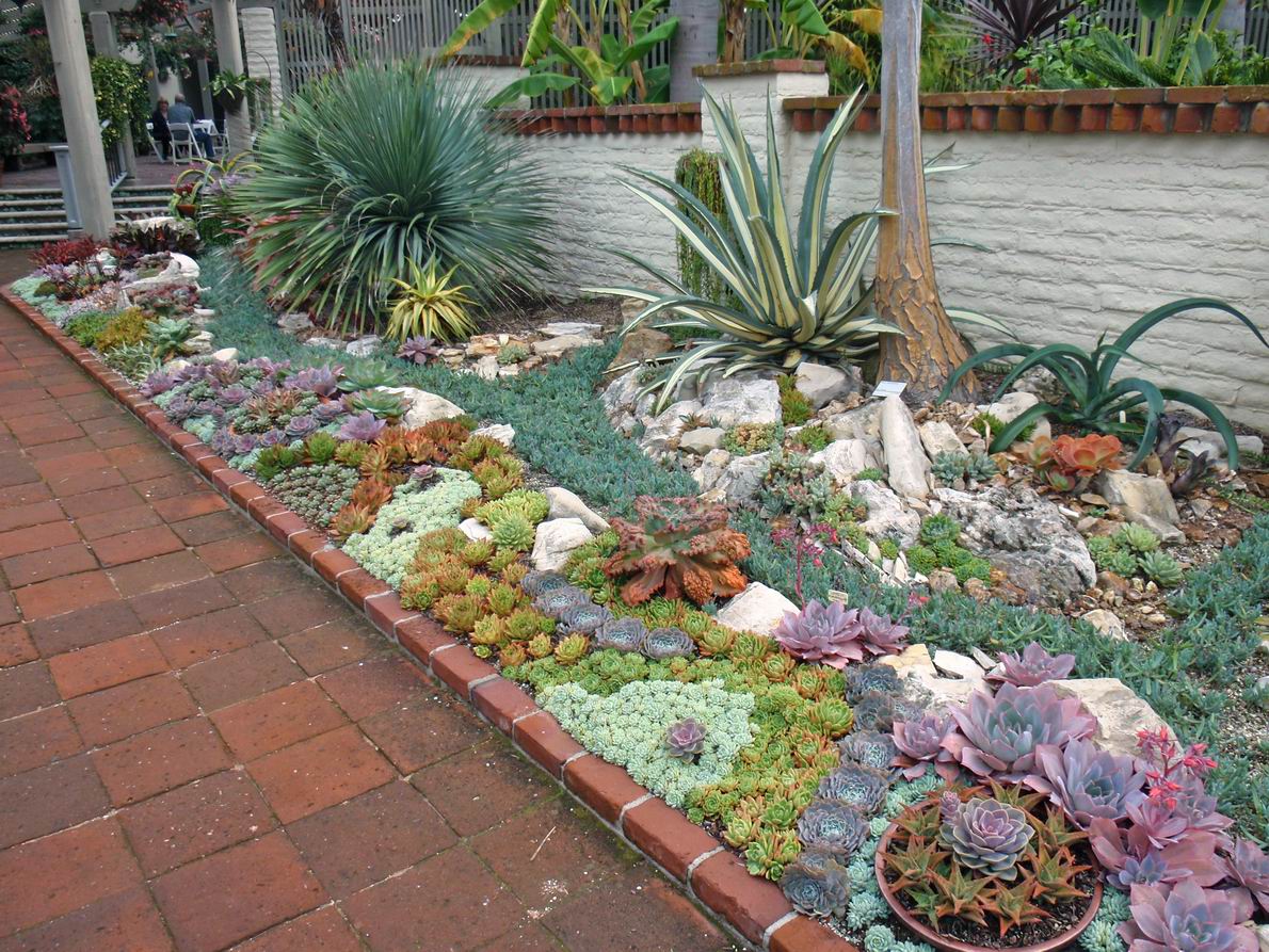 Incredible Succulents Garden Ideas