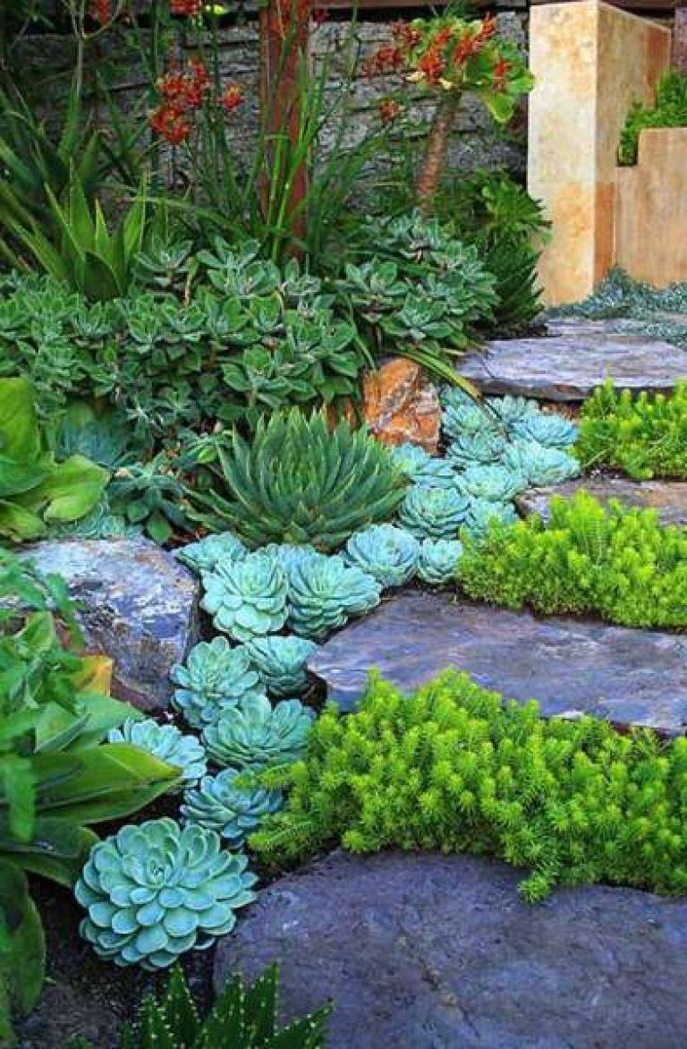 Impressive Front Succulent Garden Ideas