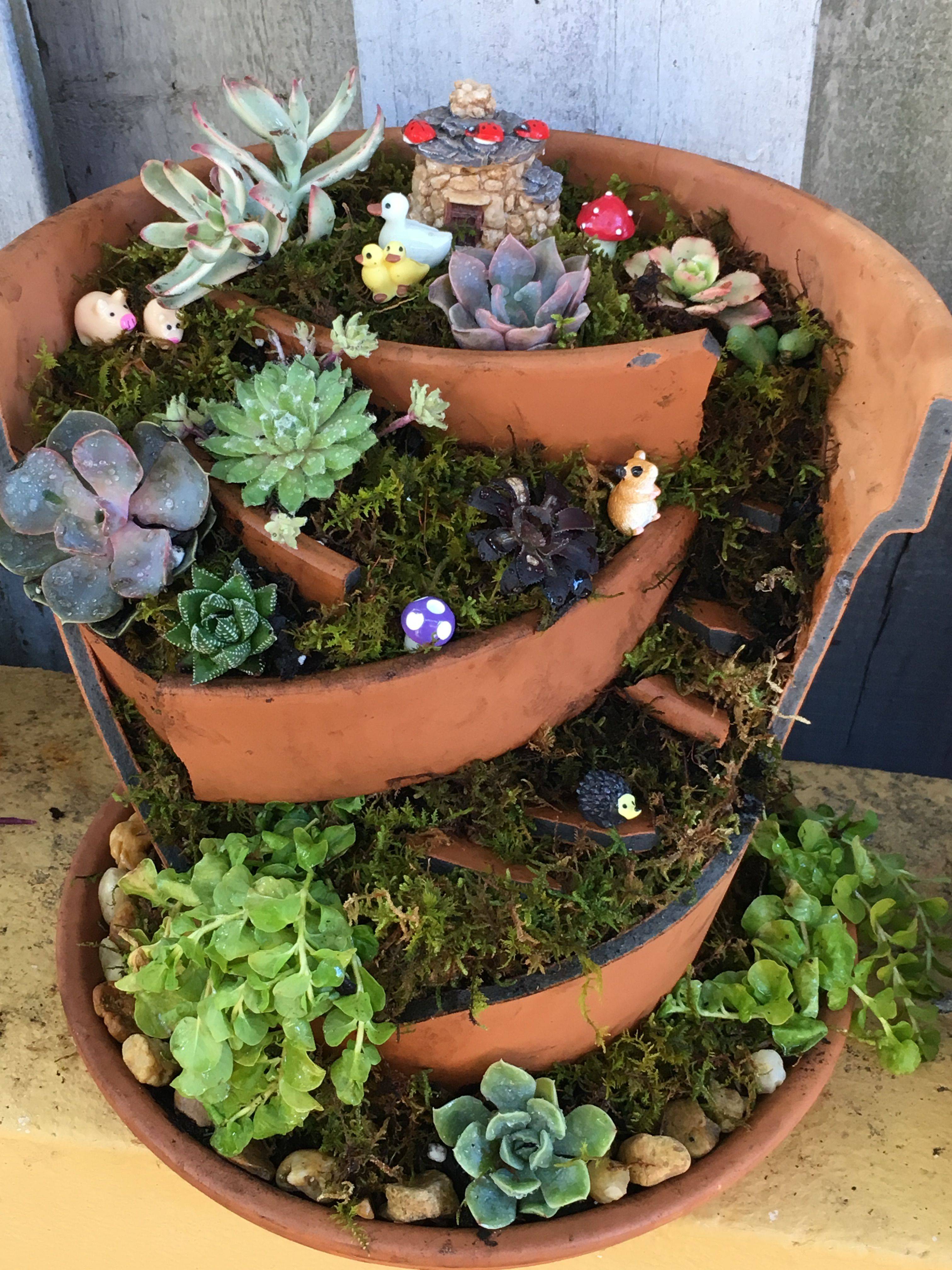 Best Succulent Garden Ideas