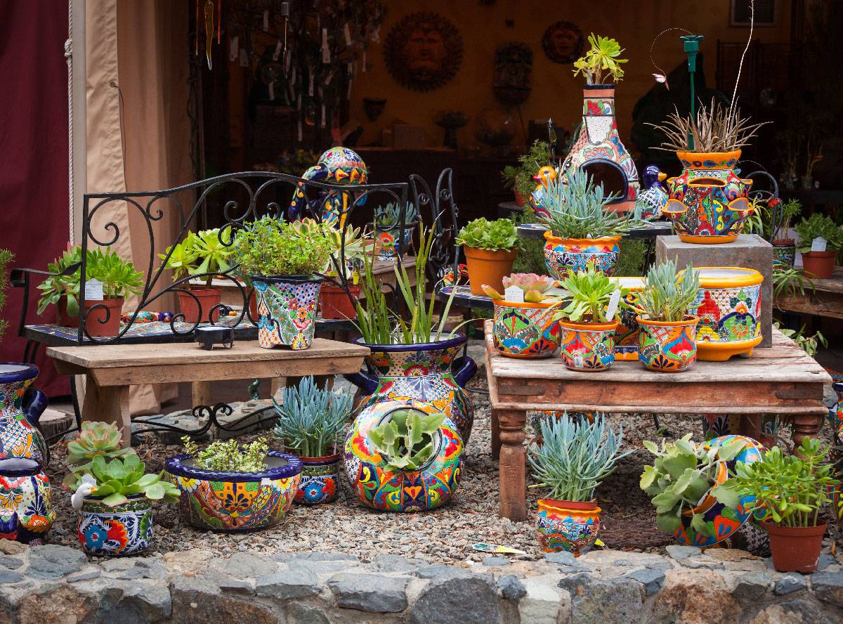 Colorful Succulent Container Garden Ideas