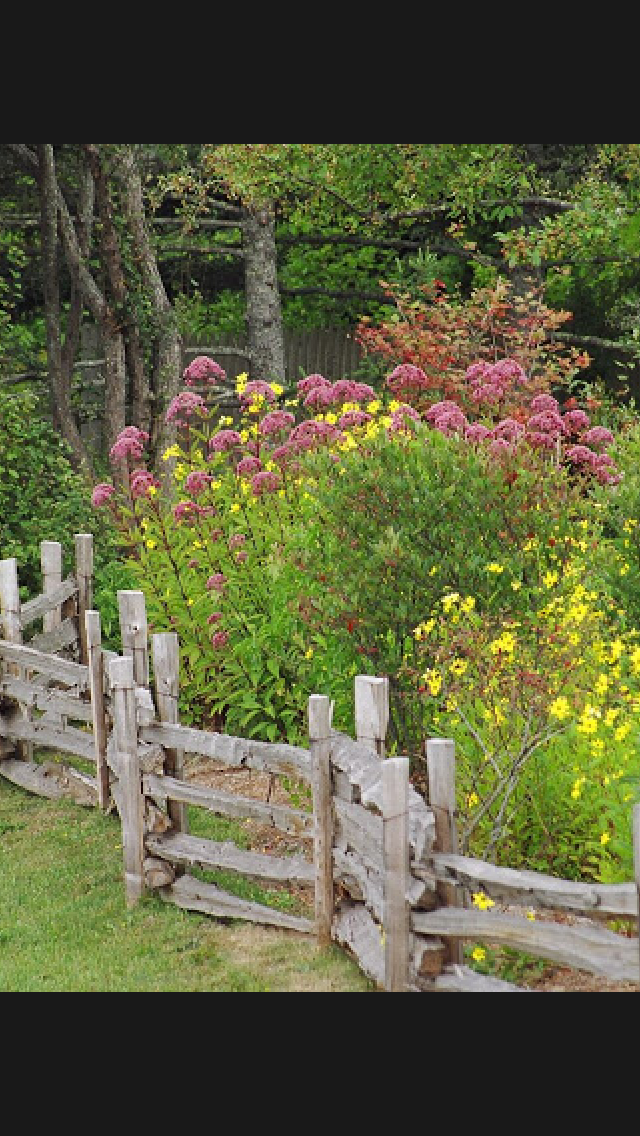 Large Backyard Landscaping