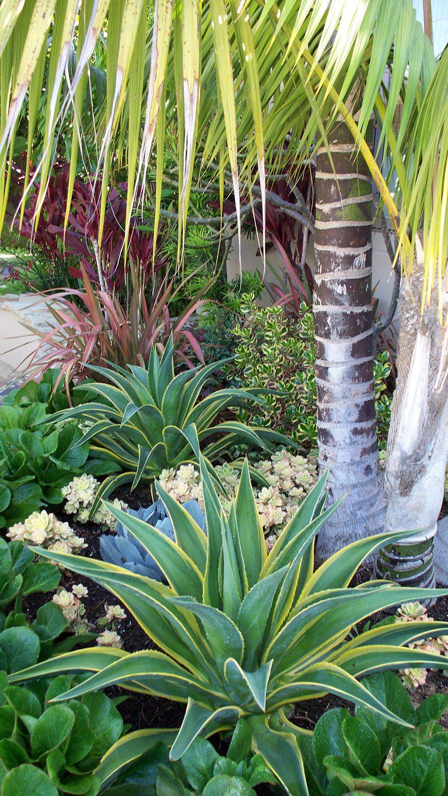 Marvelous Rock Garden Ideas Backyard Front Yard